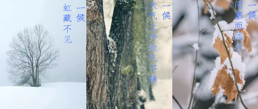 今日小雪，寒潮來襲，洗瓶機(jī)來幫你解放雙手吧！